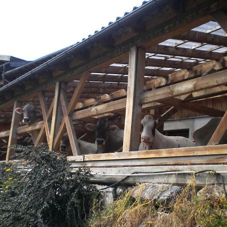 堤林斯Weberhof别墅 外观 照片